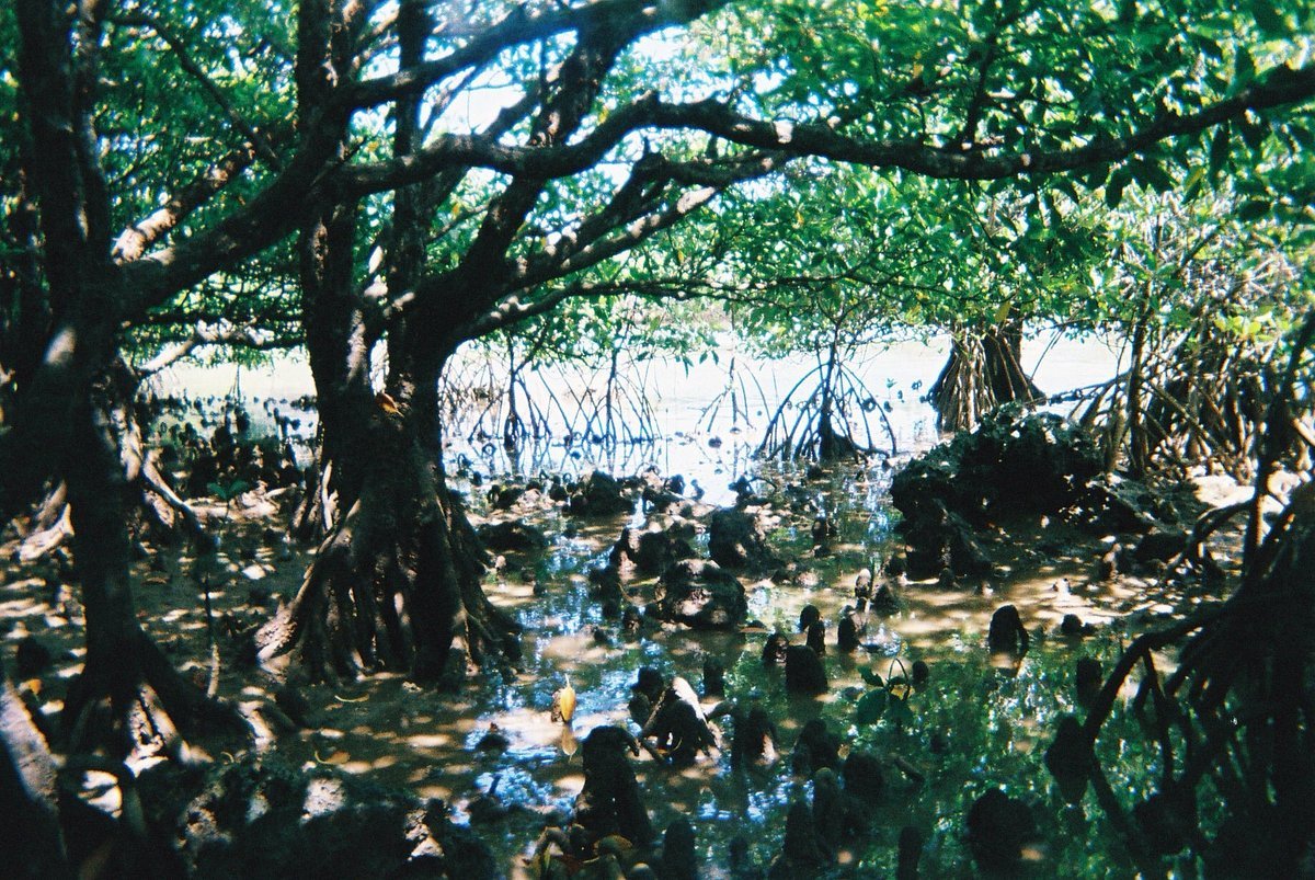 🗿 후루스토바루 유적(후루스토바루 이세키) 이미지 5